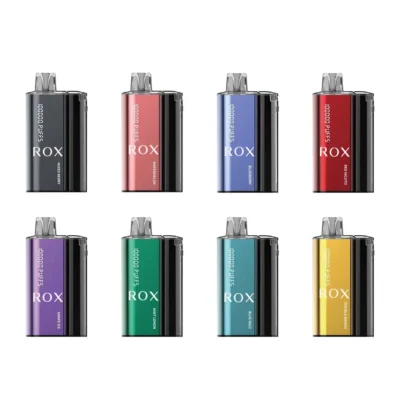 20ml Disposable Vape LED Screen 20000 Puffs 850mAh Dual Mesh Coil Type-C Rechargeable with Child Lock