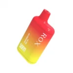 5000 Puffs Rechargeable Disposable Vape Pen 10.0ml E-Liquid Up To 30 Flavors