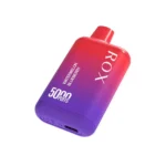 5000 Puffs Rechargeable Disposable Vape Pen 10.0ml E-Liquid Up To 30 Flavors