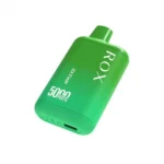 5000 Puffs Rechargeable Disposable Vape Pen 10.0ml E-Liquid Up To 30 Flavors