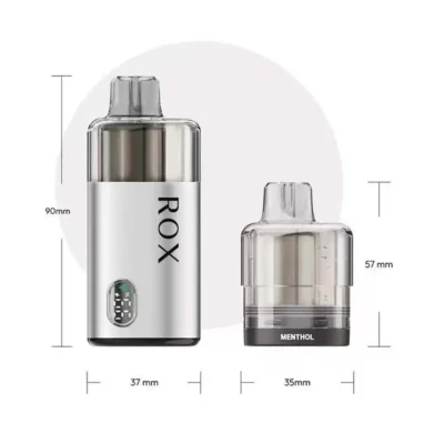 TPD Compliant 10000 Puffs Vape with 2+10ml Dual Pod 650mAh Battery