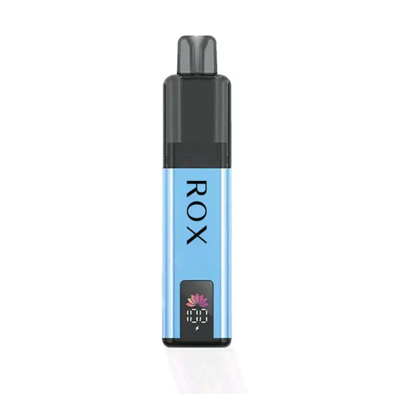 TPD-Compliant 6000 Puffs Vape 2+10mL Dual Tank 850mAh Battery 20mg Nicotine