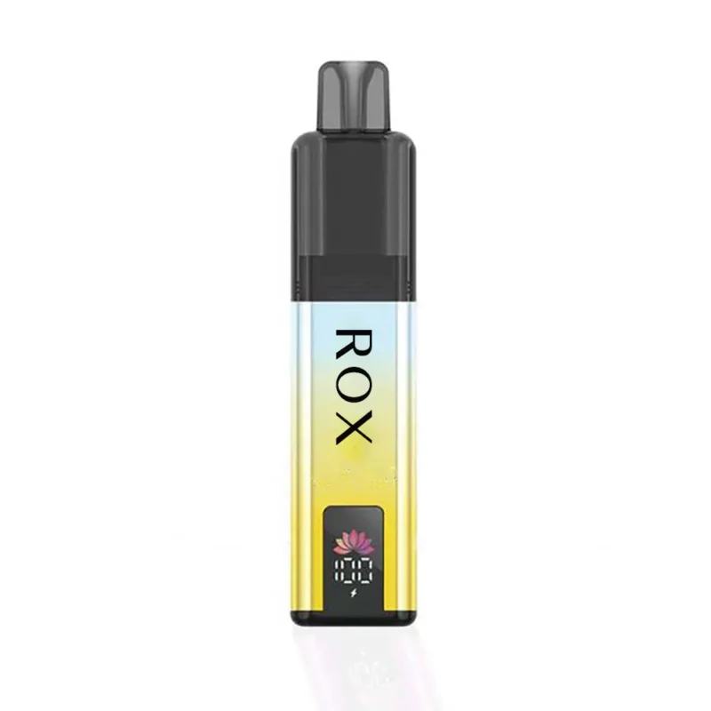TPD-Compliant 6000 Puffs Vape 2+10mL Dual Tank 850mAh Battery 20mg Nicotine