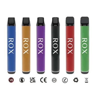 TPD Compliant Replaceable Vape Pod System 600 Puffs 2ML E-liquid 500mAh Battery 1.6Ω Mesh Coil